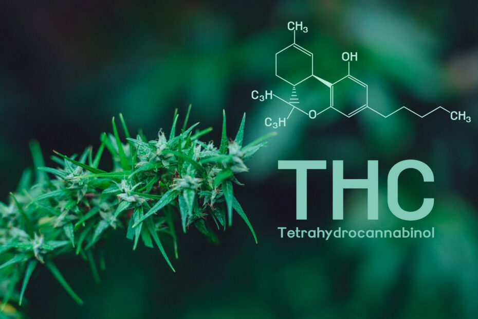 Exploring the Combination of Delta-8, Delta-9, and Delta-10 THC Understanding Cannabinoid Synergy